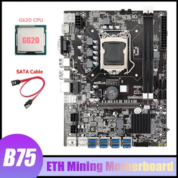 B75 ETH Ieguves Mātesplati 8XPCIE USB Adapteris+G620 PROCESORA+SATA Kabeli LGA1155 DDR3 MSATA B75 USB Miner Mātesplati