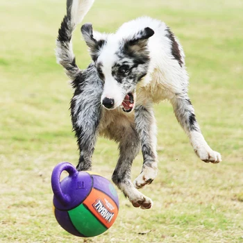 Suns Interaktīvā Futbola Pet Apmācību Mest Rotaļlietas Liels Suns ar Basketbola Cīnās Āķis Gumijas Košļāt Rotaļlietas, Mājdzīvnieku Piederumi Stuff